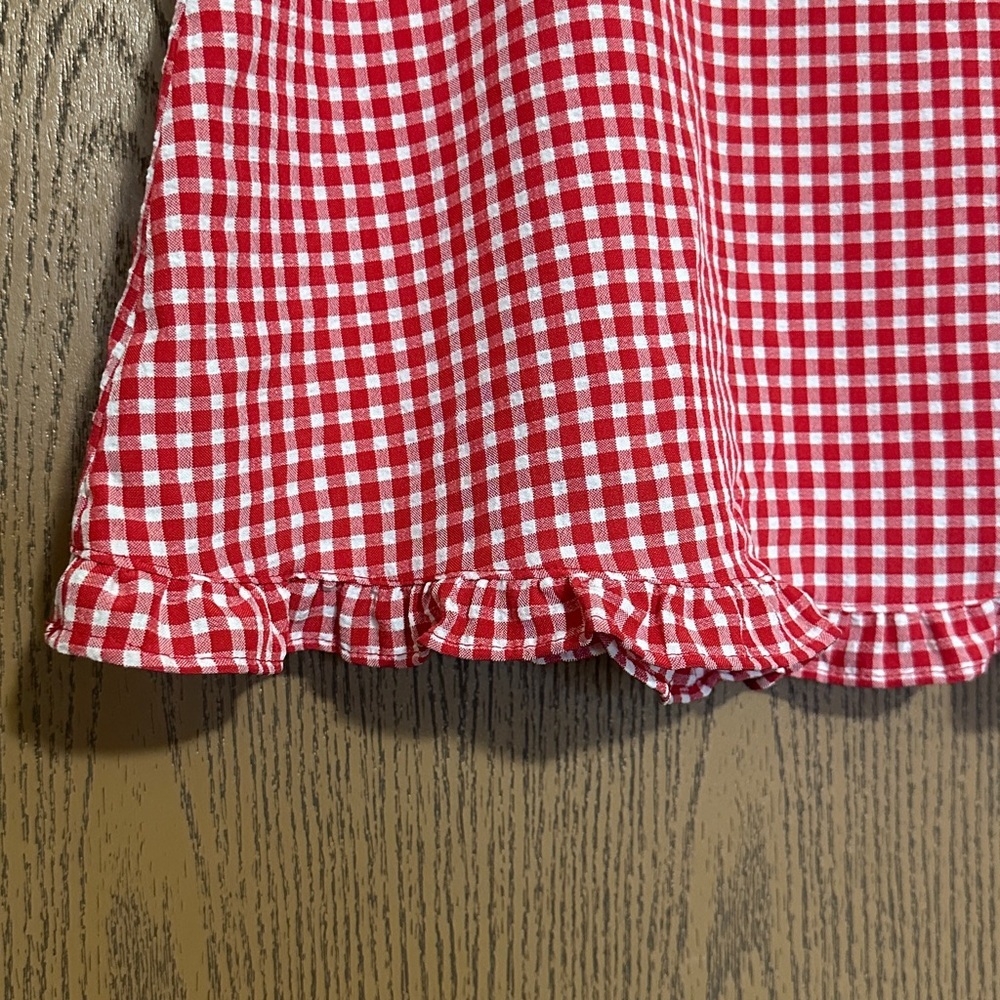 Sienna Sky Red Gingham A-Line Mini Skirt - Picture 3 of 8